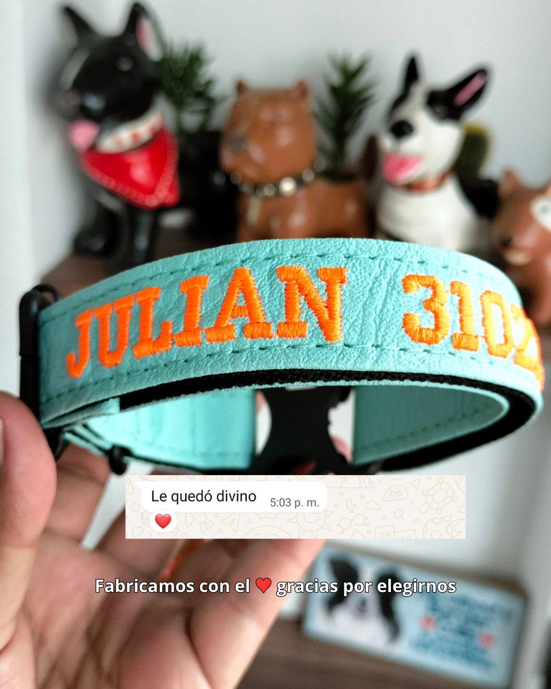 testimonio collares
